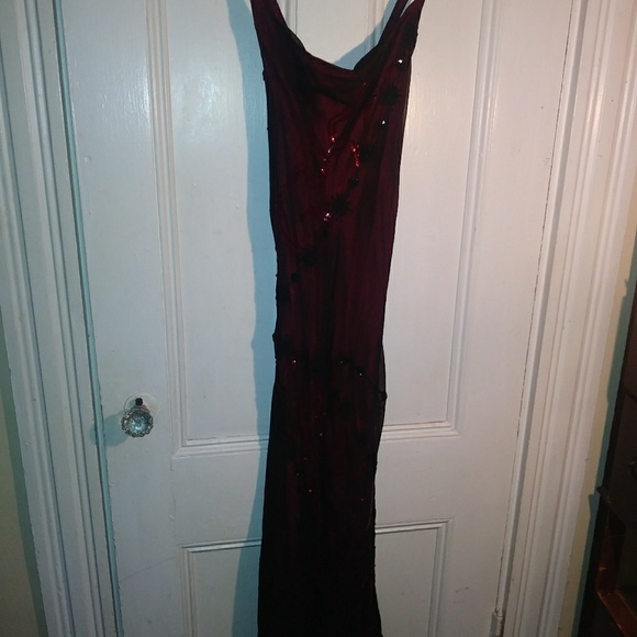 Gorgeous anopia gown size 4 exquisite - Picture 7 of 8